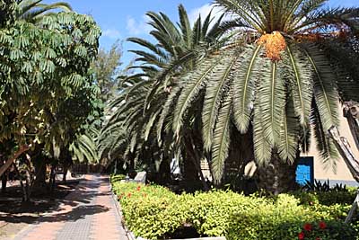 Pajara - Fuerteventura