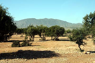 Die Sous-Ebene östlich von Agadir