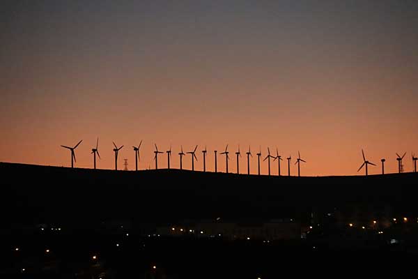 Windpark im Abendlicht