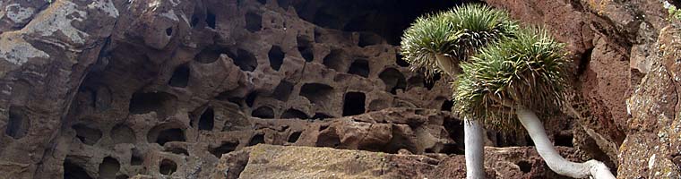 Ferieninsel Gran Canaria