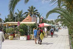 Puerto Naos - La Palma - Kanaren