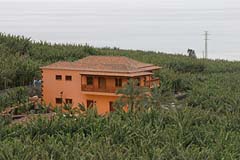 Bananenanbau in Tazacorte - La Palma - Kanaren