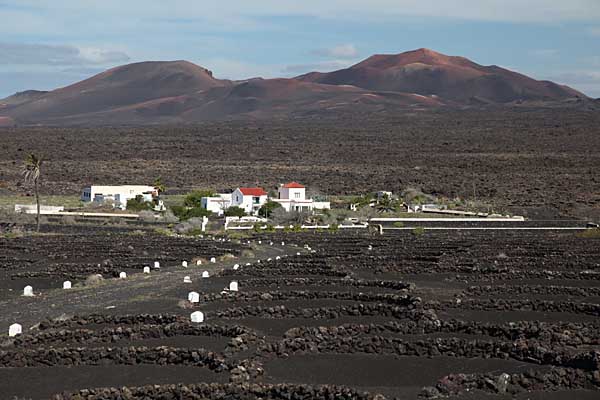 Finca in La Geria - Lanzarote