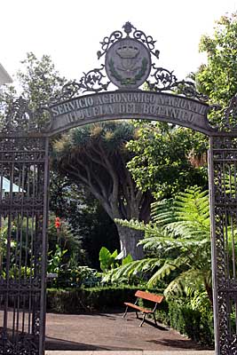 Hijuela del Botanico - La Orotava / Tenerife