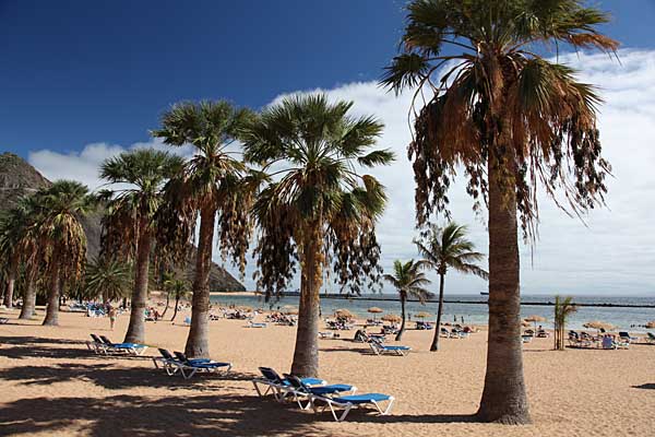 Palmenstrand Playa de las Teresitas