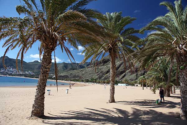 Palmenstrand Playa de las Teresitas