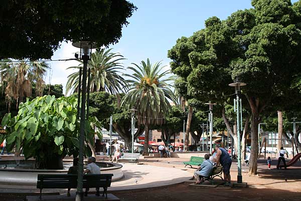 Plaza del Charco Puerto de la Cruz