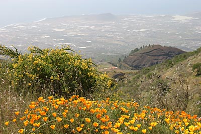 Blick ins Tal von Guimar - Teneriffa