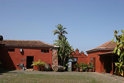 El Sauzal - Casa del Vino