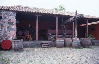 Weinpresse - El Sauzal - Casa del Vino