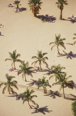 Teneriffa - Playa de las Teresitas - Palmen, Sand und Meer