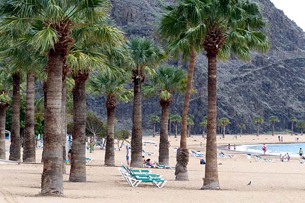 Palmenstrand Playa de las Teresitas