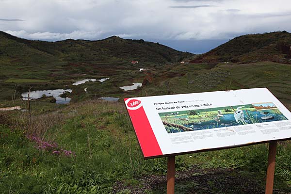 Infotafel im Parque Rural de Teno am Erjos-Pass