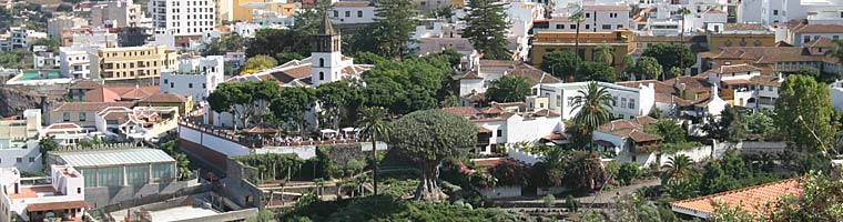 Teneriffa - Icod de los Vinos